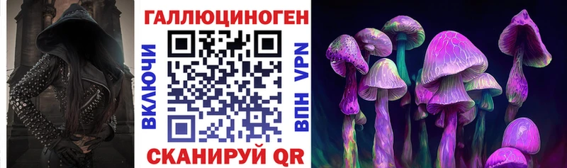 Псилоцибиновые грибы MAGIC MUSHROOMS  где купить наркотик  Салаир 