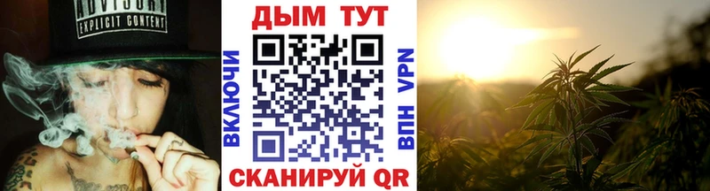 где найти   Салаир  Конопля конопля 